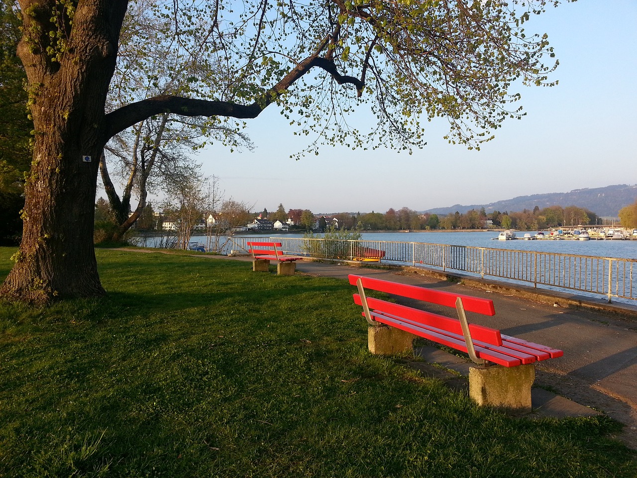 费南多的退 费南多的退