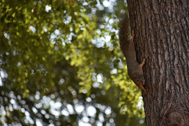 军时的策略 军时的策略