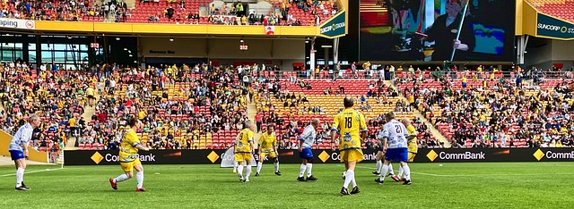 不仅吸引了 不仅吸引了